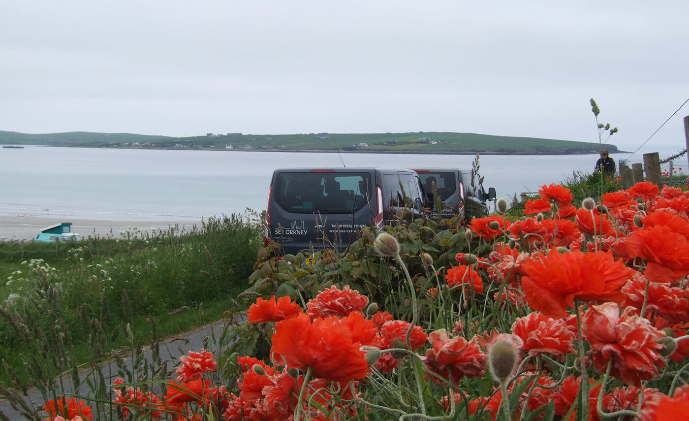 See Orkney Tours vans